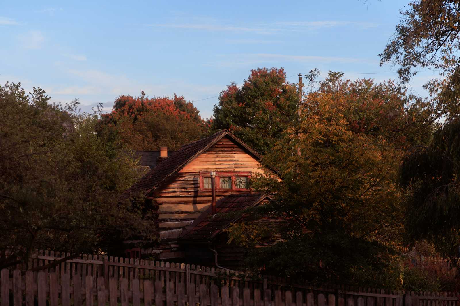 Logging Ecosystem: History, Types & More
